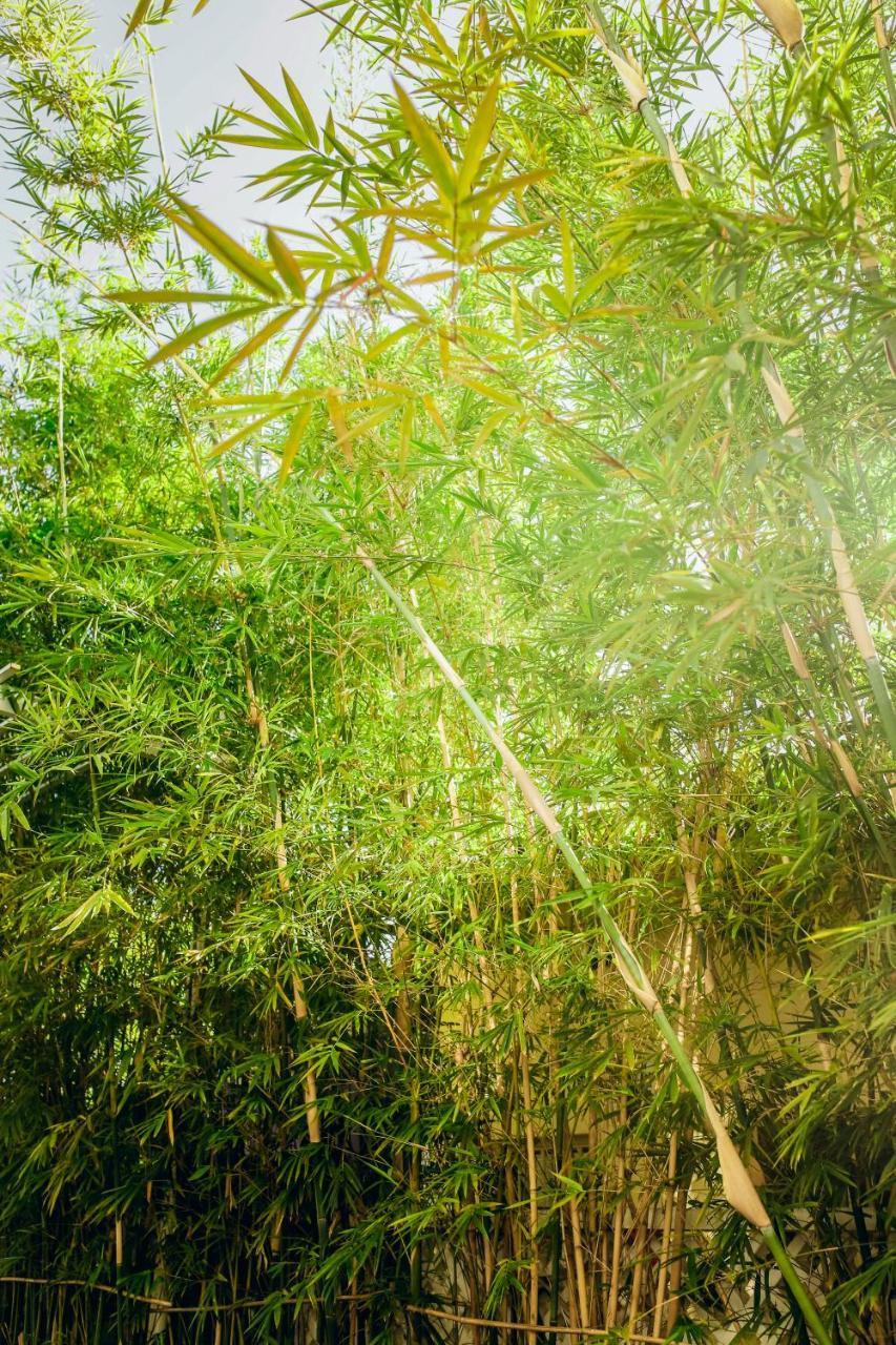 Chau Plus Homestay Hoi An Esterno foto