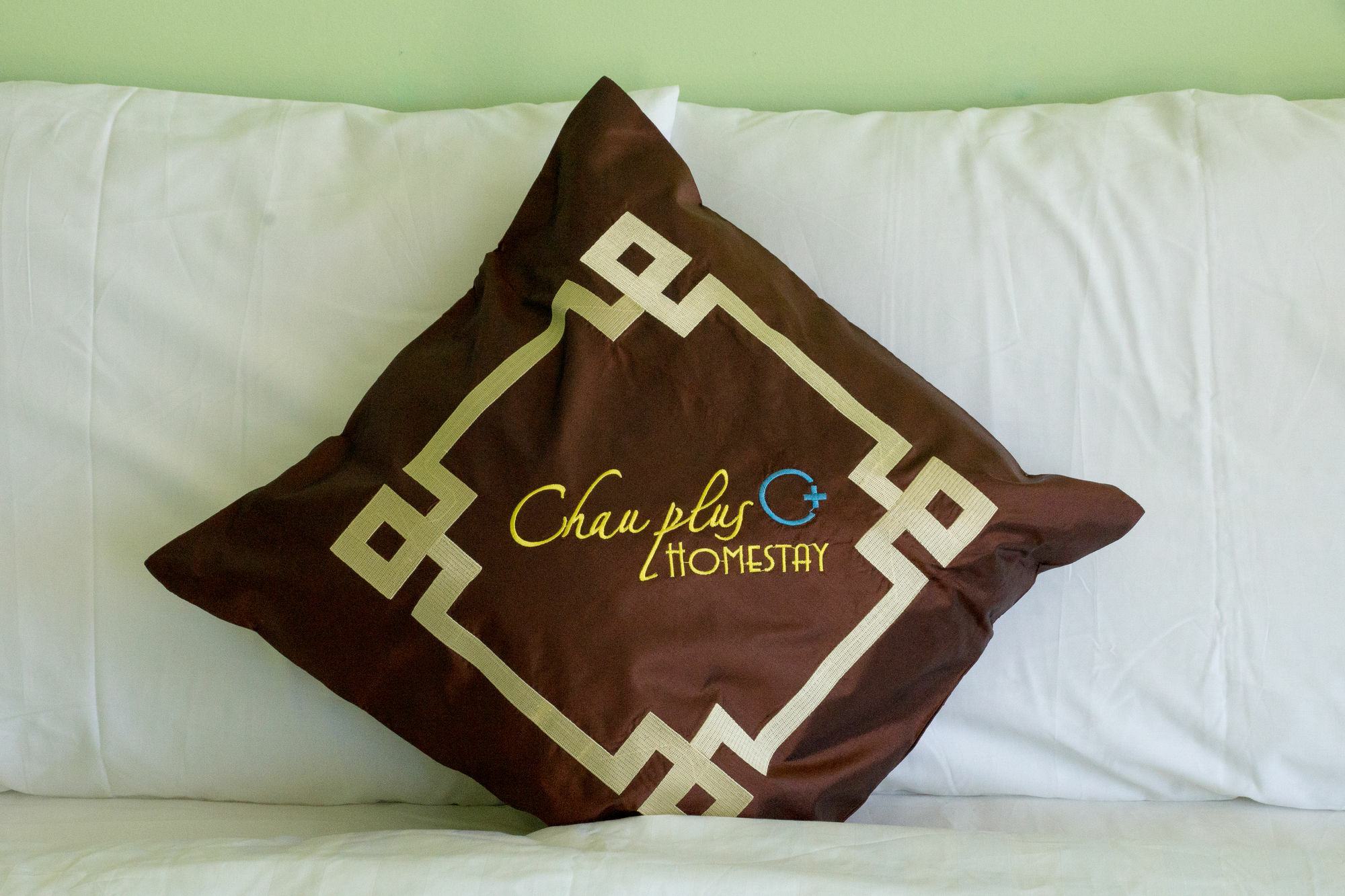 Chau Plus Homestay Hoi An Esterno foto